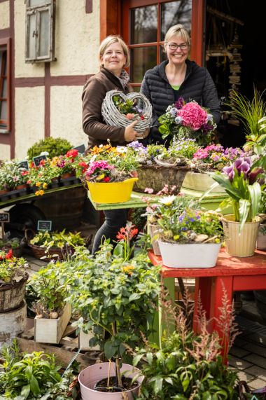 Blumenladen Natur Pur - Erfurt Niedernissa - Angebot Blumenladen Natur Pur - Erfurt Niedernissa - Angebot