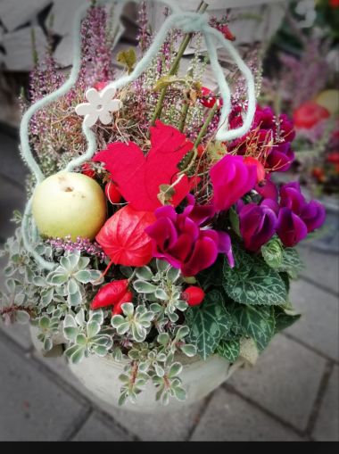 Saisonale Floristik - Blumenladen Natur Pur Erfurt Niedernissa Saisonale Floristik - Blumenladen Natur Pur Erfurt Niedernissa