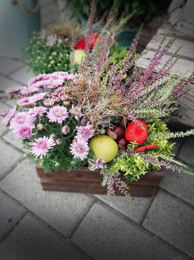 Pflanzschalen & Topfpflanzen - Bumenladen Natur Pur Erfurt Niedernissa Pflanzschalen & Topfpflanzen - Bumenladen Natur Pur Erfurt Niedernissa