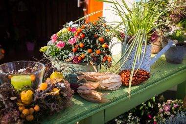 Saisonale Floristik - Blumenladen Natur Pur Erfurt Niedernissa Saisonale Floristik - Blumenladen Natur Pur Erfurt Niedernissa