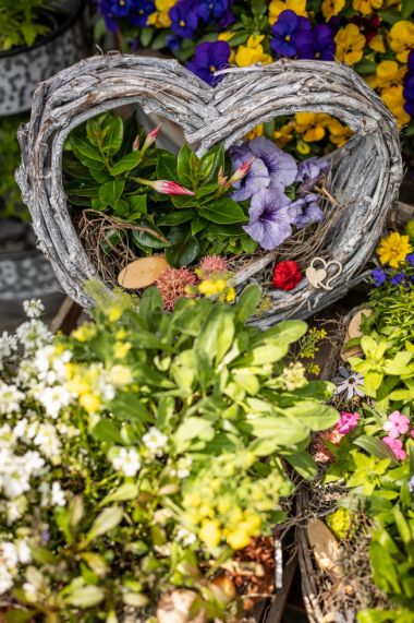 Saisonale Floristik - Blumenladen Natur Pur Erfurt Niedernissa Saisonale Floristik - Blumenladen Natur Pur Erfurt Niedernissa